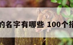 招财大气的名字有哪些 100个招财好名字