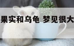 梦见很大的果实和乌龟 梦见很大的果实和乌龟什么意思