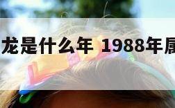 1988属龙是什么年 1988年属龙是什么的人