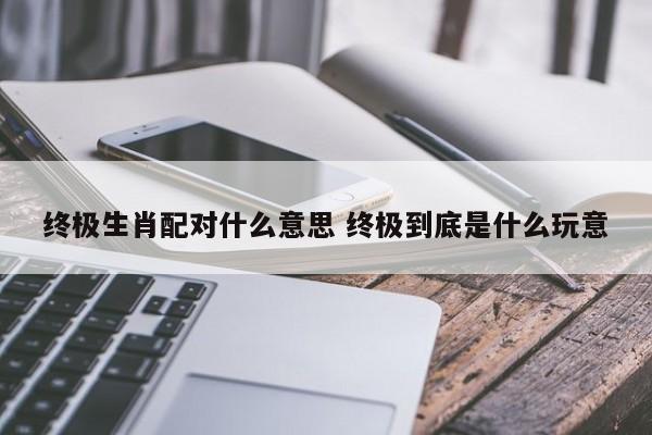 终极生肖配对什么意思 终极到底是什么玩意