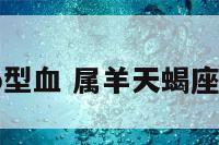 属羊天蝎o型血 属羊天蝎座a型血男人