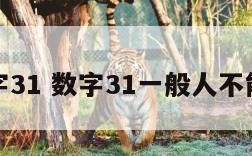 数字31 数字31一般人不能用