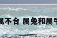 属兔和什么属不合 属兔和属牛的结婚好吗