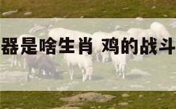 鸡的战斗武器是啥生肖 鸡的战斗武器是什么意思