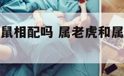 属老虎和属鼠相配吗 属老虎和属老鼠的人相克吗