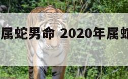 2020年属蛇男命 2020年属蛇男人全年运势