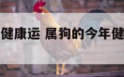 属狗的今年健康运 属狗的今年健康运势如何?