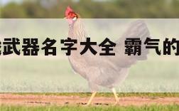 霸气的游戏武器名字大全 霸气的游戏武器名字大全男