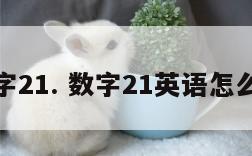 数字21. 数字21英语怎么读