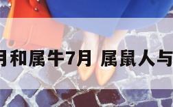 属鼠7月和属牛7月 属鼠人与属牛人