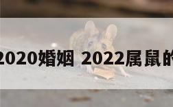 属鼠2020婚姻 2022属鼠的婚姻