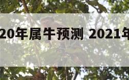 易经2020年属牛预测 2021年属牛周易