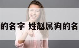 姓赵属狗的名字 姓赵属狗的名字怎么取