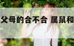 属鼠和属蛇父母的合不合 属鼠和属蛇的母女合不合