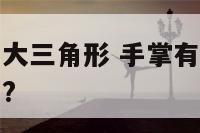 手相手掌中有大三角形 手掌有大三角纹真的能大富大贵吗?