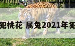 属兔犯桃花 属兔2021年犯桃花