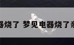 梦见电器烧了 梦见电器烧了亲人生病