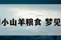 女人梦见喂小山羊粮食 梦见给山羊喂食