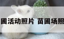 苗圃活动照片 苗圃场照片