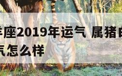 属猪白羊座2019年运气 属猪白羊座2019年运气怎么样