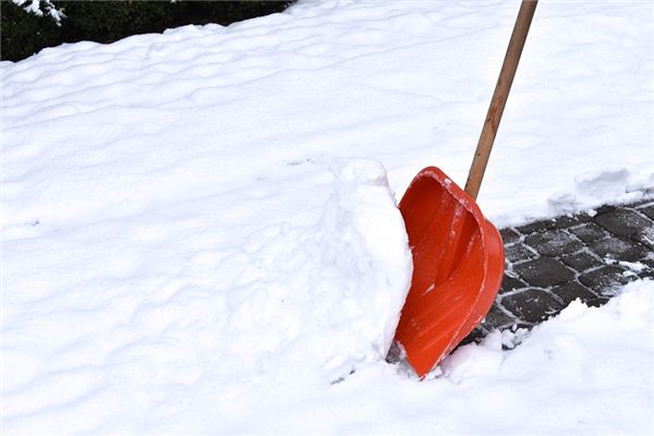 梦见铲雪