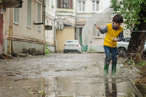 梦见掉进水坑