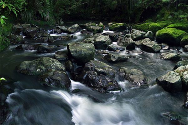 梦见潺潺流水