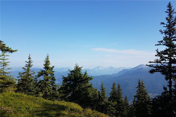 梦见山林