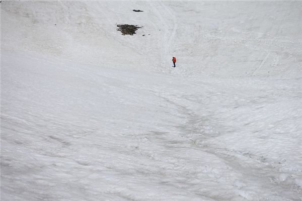 梦见雪地