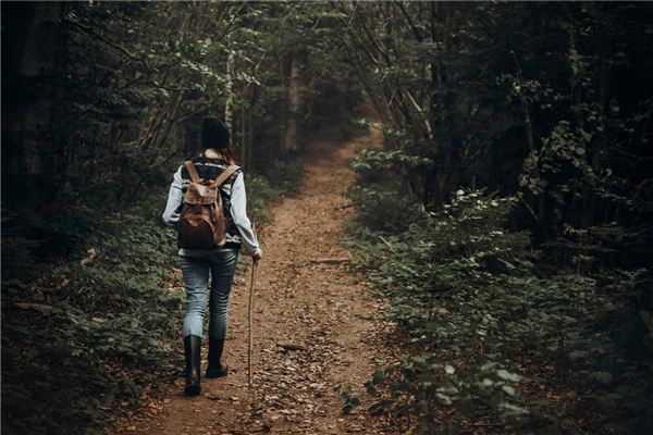 属龙人为什么离家出走